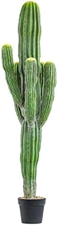 Stunning Fake Cactus for Your Home or Office