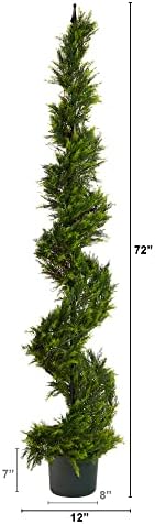 Perfect Cypress Topiary