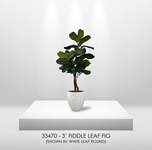 Eco-Friendly 3ft Fig Ficus Tree