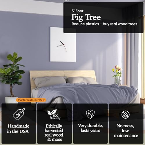 Eco-Friendly 3ft Fig Ficus Tree