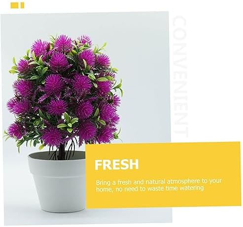 Personalized Miniature Green Potted Plant Decor 2PC Set