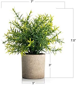 Velener 2-Piece Artificial Potted Rosemary Rustic Farmhouse Fake Shrubs