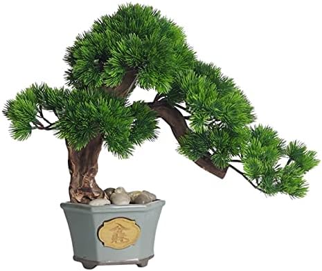 Versatile Indoor Bonsai Tree Decor