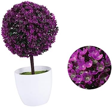 Double Boxwood Ball Topiaries Relaxing Decor for Home Gifting