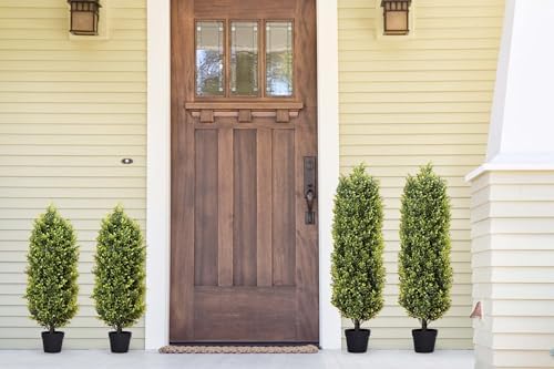 Your Front Porch Just Got a Leafy Look-Alike