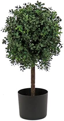 Natural Boxwood Potted Topiary for Your Home