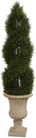 Double Spiral Pond Cypress Topiary