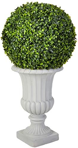 Stately Boxwood Topiary with urn IndoorOutdoor