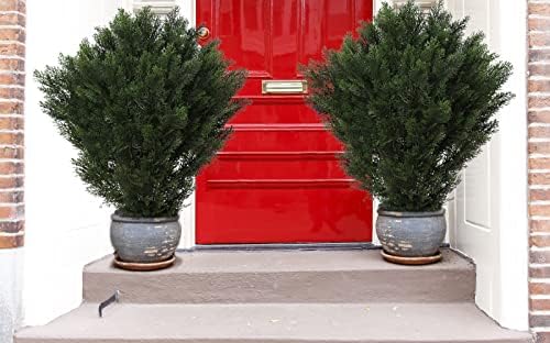 Artificial Boxwood Topiaries for Home and Office Decor