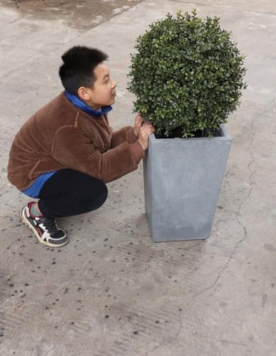 24 Faux Boxwood Outdoor Topiary Set of 2