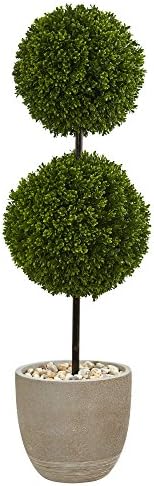 4-Foot Boxwood Topiary