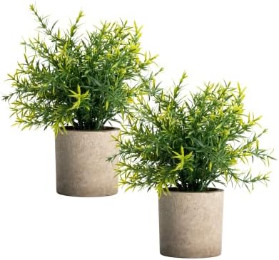 Velener 2-Piece Artificial Potted Rosemary Rustic Farmhouse Fake Shrubs