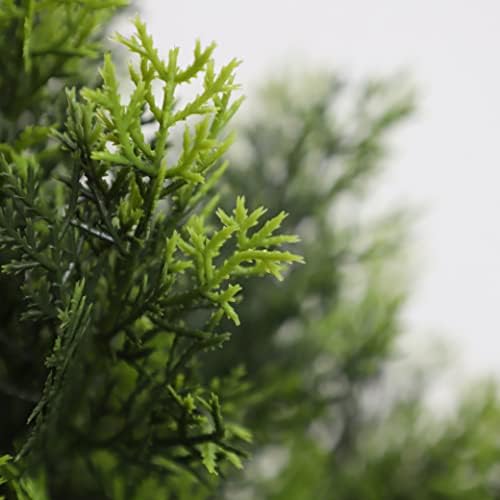 Realistic Cedar Topiary for Home