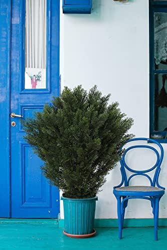 Artificial Boxwood Topiaries for Home and Office Decor