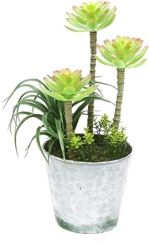 FAFACAI Artificial Bonsai Tree with Gray Color