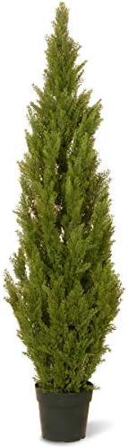 National Tree Company Artificial Potted Cedar Tree Green 65-inch