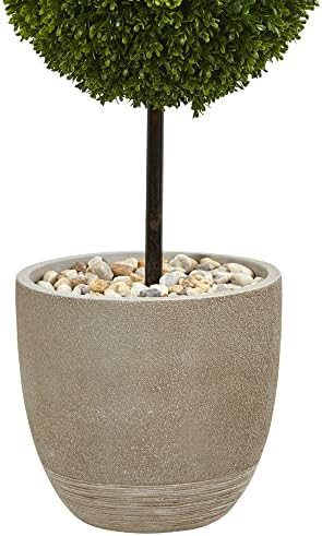 4-Foot Boxwood Topiary