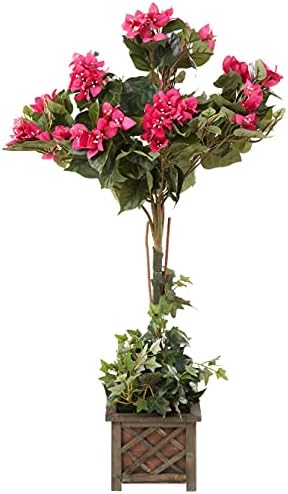 Bougainvillea Topiary 34in