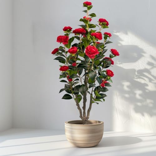 Alonfale 34ft Artificial Camellia Tree 2 Pack - Red