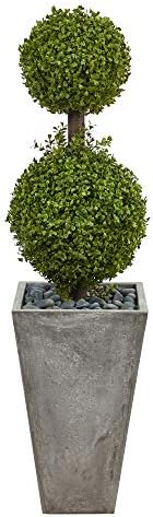 Natural Boxwood Topiary