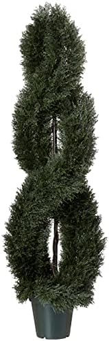 Sleek 5 Pond Cypress Topiary