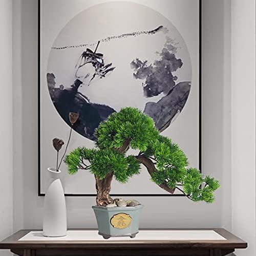 Versatile Indoor Bonsai Tree Decor
