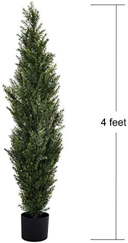 Forty-Foot Spiral Cedar Topiaries for Home Office