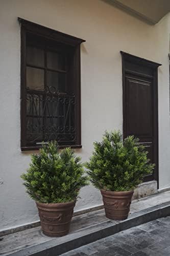 Realistic Cedar Topiary for Home