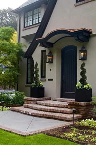 Front Porch Boxwood Topiary