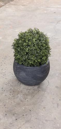 24 Faux Boxwood Outdoor Topiary Set of 2