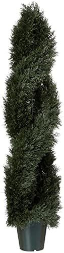 Sleek 5 Pond Cypress Topiary