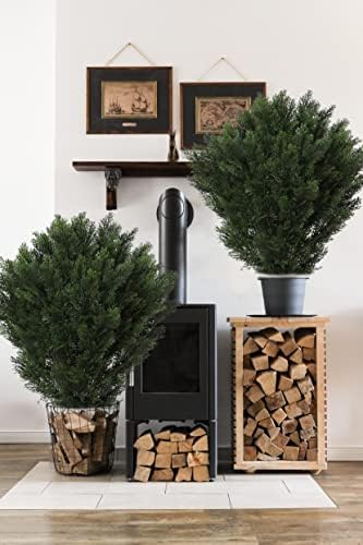 Artificial Boxwood Topiaries for Home and Office Decor