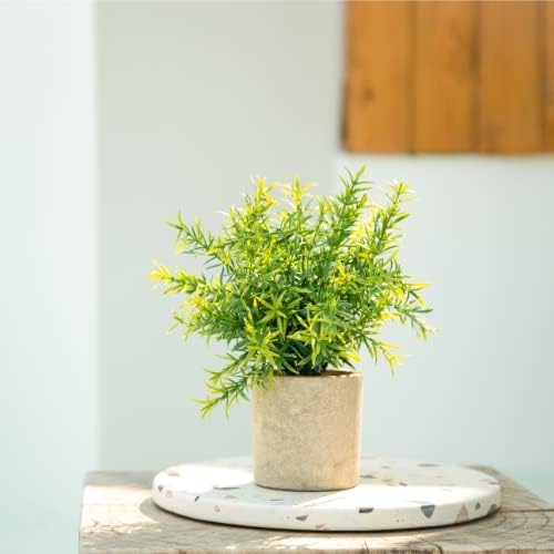 Velener 2-Piece Artificial Potted Rosemary Rustic Farmhouse Fake Shrubs