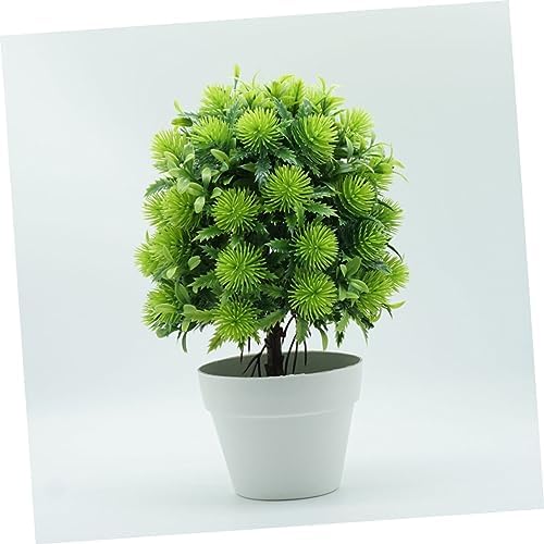 Personalized Miniature Green Potted Plant Decor 2PC Set