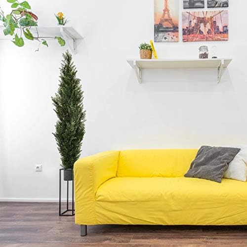 Forty-Foot Spiral Cedar Topiaries for Home Office