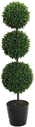 Admired By Nature 24 Inch Artificial Boxwood Topiary Set