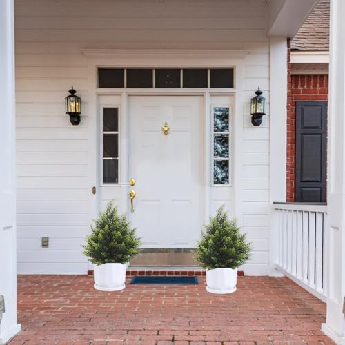 Authentic Realistic Cedar Christmas Tree