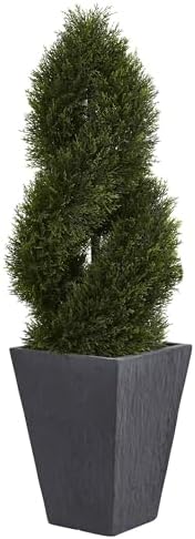 Double Spiral Cypress Topiary in Slate Planter