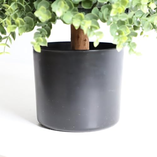 32 Boxwood Topiary - Realistic Veg sodall