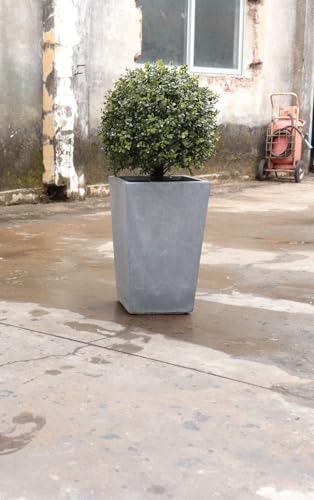 24 Faux Boxwood Outdoor Topiary Set of 2
