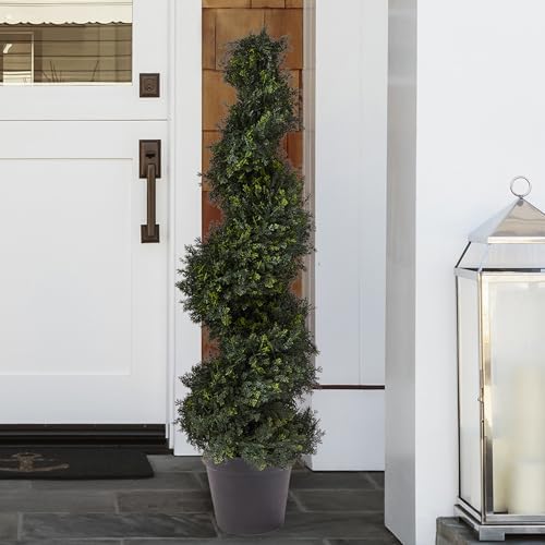 Pure Garden Circular Cypress Topiary