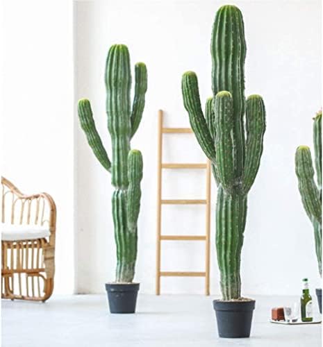 Stunning Fake Cactus for Your Home or Office