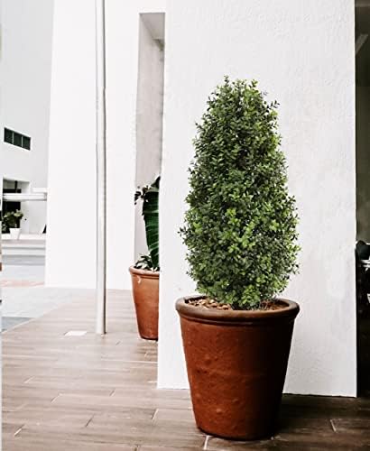 Stunning Realistic Boxwood Topiary 2-Pack