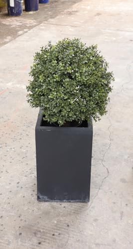 24 Faux Boxwood Outdoor Topiary Set of 2
