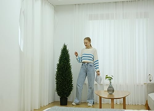 Naturally Scenic Outdoor Cedar Topiary