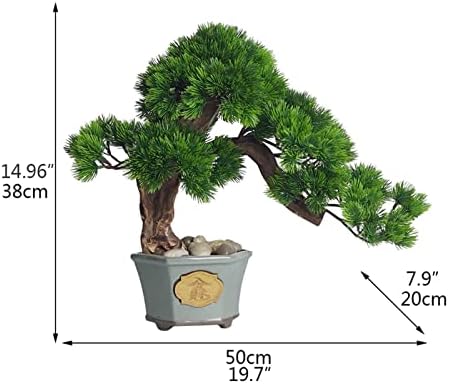 Versatile Indoor Bonsai Tree Decor