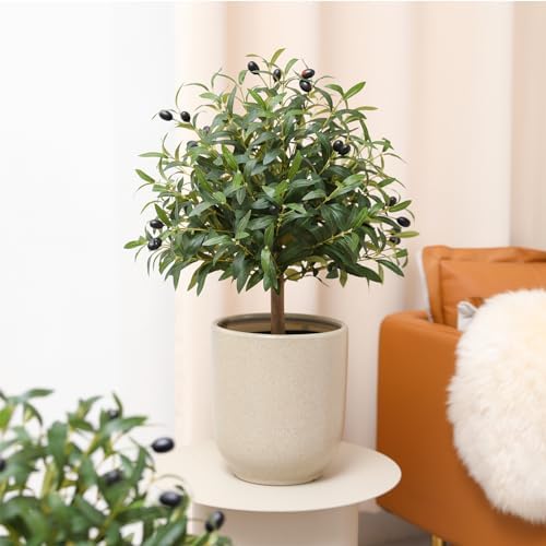 25 Chartreuse Olive Topiary Ball