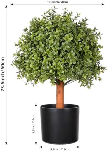 Elegant Boxwood Topiaries