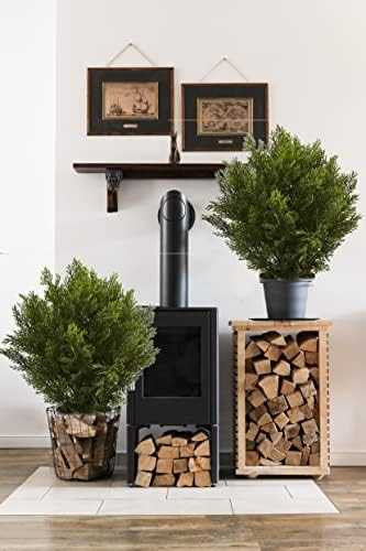Momoplat - 33-inch Boxwood Artificial Plant Topiary Set of 2