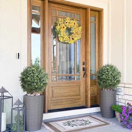Momoportal Boxwood Cypress Tree Topiary